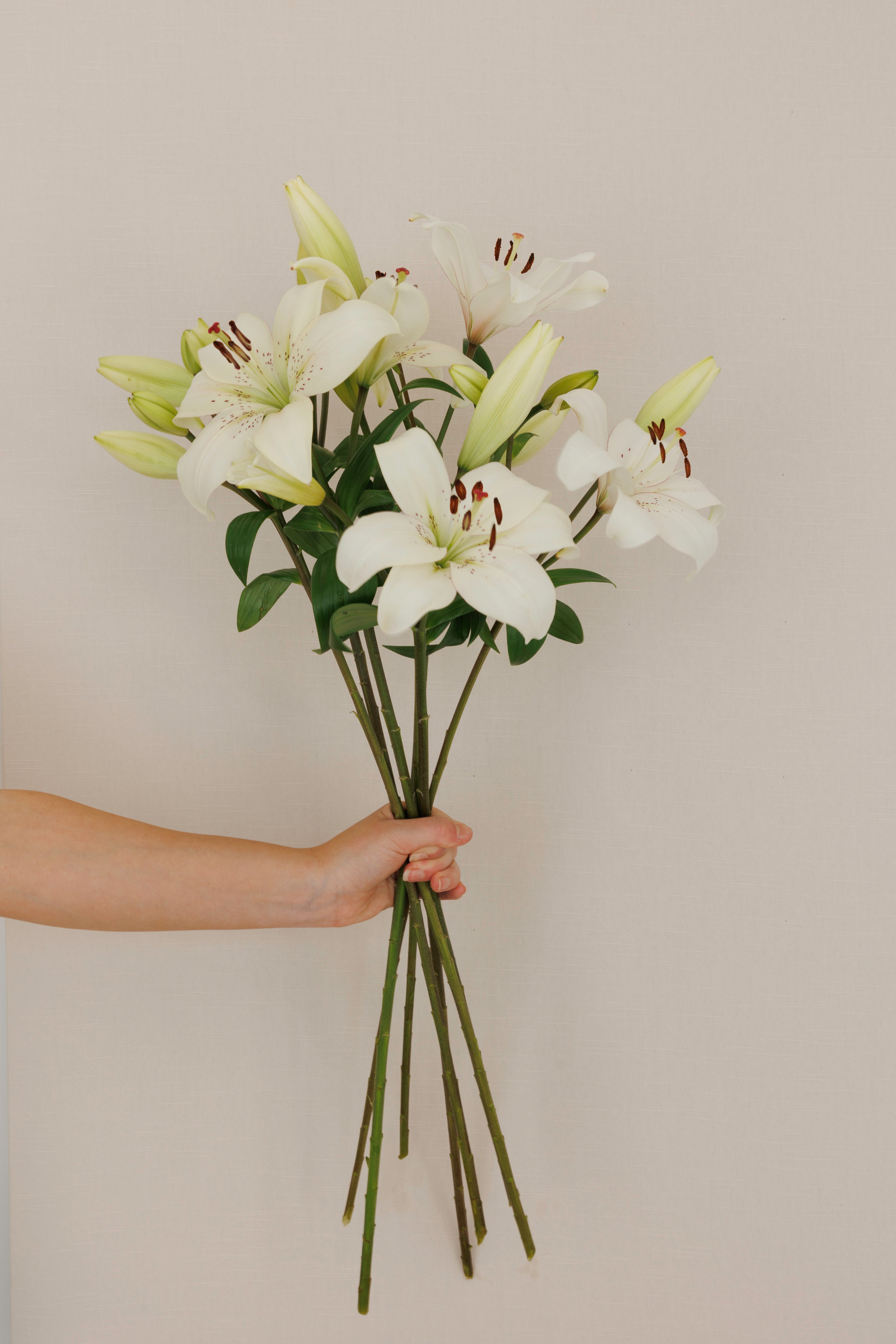 Single Stem Bouquet