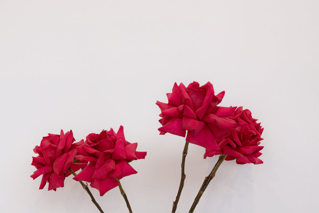 Single Stem Bouquet
